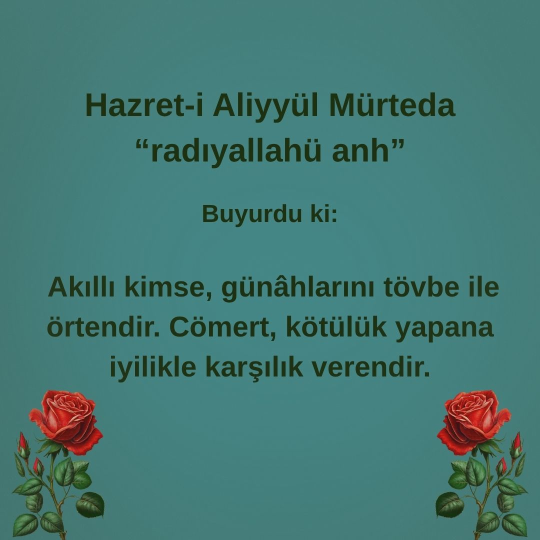Aliyyül Mürteda (50)
